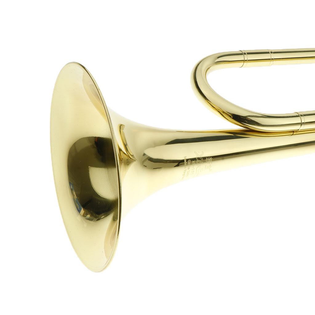 어린이용 금관악기 트럼펫 긴 경적형 금관악기 학교 밴드 - Musical Instrument Horn 리뷰 및 가격