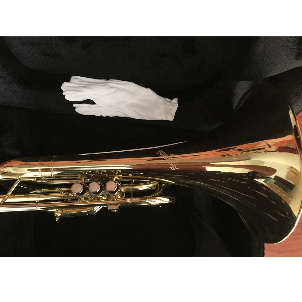 Bb 골드 래커 마감 마칭 프렌치 호른, 아마추어 학생 - Musical Instrument Horn 리뷰 및 가격