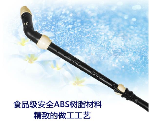 전문 8 홀 바로크베이스 수지 클라리넷 중국어 플루트  - Musical Instrument A Recorder 리뷰 및 가격