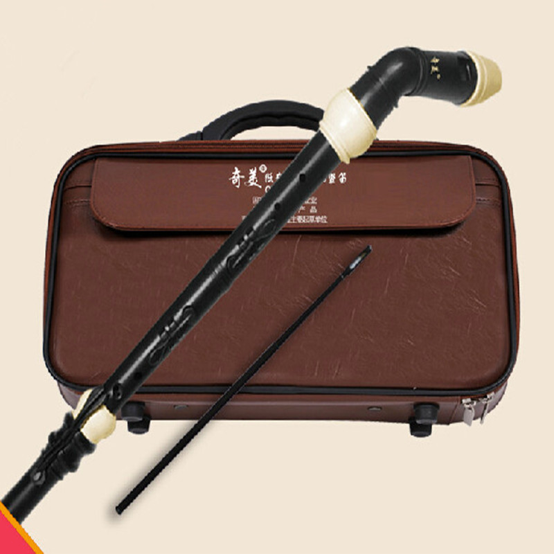 전문 8 홀 바로크베이스 수지 클라리넷 중국어 플루트  - Musical Instrument A Recorder 리뷰 및 가격