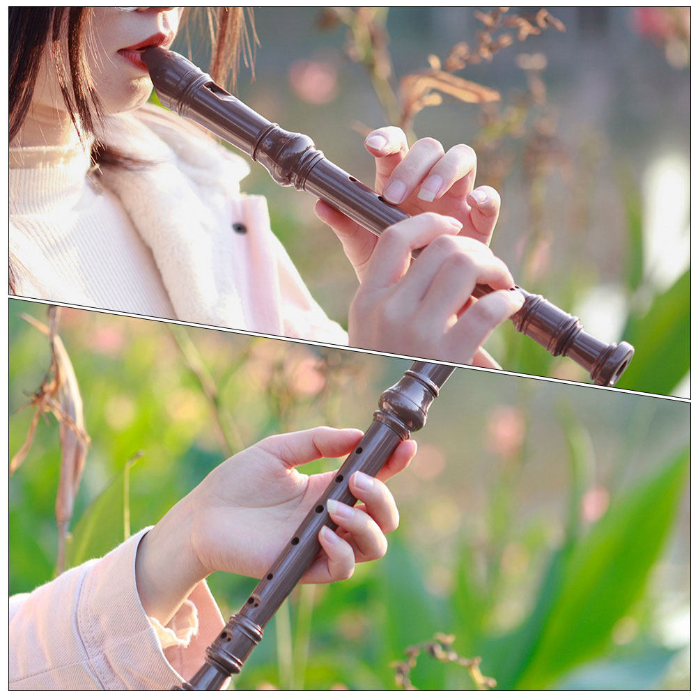 8홀 리코더, 전통적인 레진 플루트, 초보자, 학생,  - Musical Instrument A Recorder 리뷰 및 가격