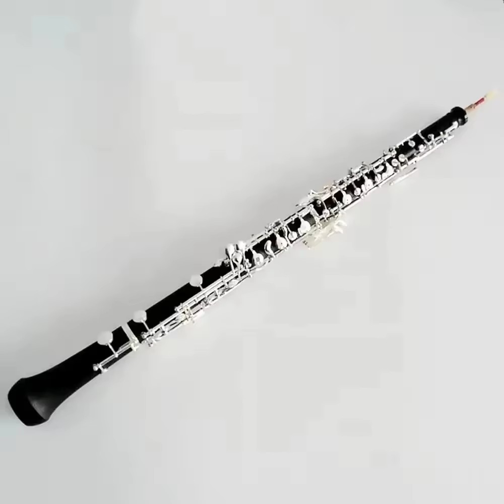베이클라이트 은도금 오보에 악기, C조 17키 국제 표 - Musical Instrument Oboe 리뷰 및 가격
